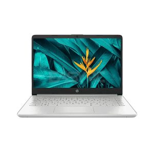 HP 14S-CF2515TU Intel i3-10110U/4GB/1TB + 128GB SSD/Intel UHD Graphics /Win10 Laptop Natural Silver