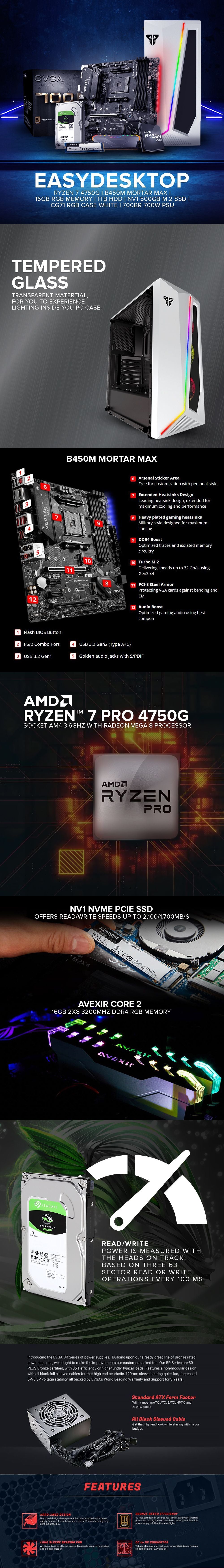 lorikeet